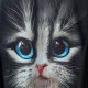 Bluza z printem kota