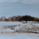 Cztery pejzaże -  akwarela