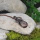 Miedziany wisiorek wire wrapping z agatem / PEN000222