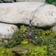 Stalowy wisiorek z jadeitami / kwiat, mandala, czakry / PEN000278