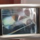 Hologramowy obrazek auto samochód