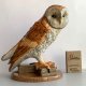 ROYAL DOULTON ANIMALS ❤ Barn Owl ❤ Bird Of Prey Collection