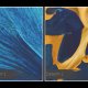 Obraz na płótnie - KWIATY GLAMOUR ORCHIDEA NIEBIESKI CZARNY ZŁOTY - 120x80 cm (100401)