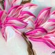 Obraz przestrzenny. Zimorodek w gałęziach magnolii
