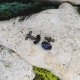 Czarne spinki do mankietów koszuli z kosmicznym wzorem / #00203