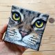 Kot - mini obraz ręcznie malowany, kwadrat, akryl