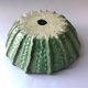 Ceramiczna umywalka "Jeżowiec"