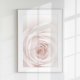ZESTAW PLAKATÓW 40x50 cm, kwiaty - pudrowy róż