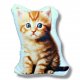 Poduszka przytulanka kotek poduszka ozdobna z kotkiem maskotka kot pluszak z kotem rudy kot poduszka do salonu dla dziecka