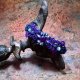 Nocny Ognik bransoletka makramowa pleciona ametyst mikro makrama delfina dolls
