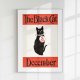 Plakat - Black cat, retro, vintage 40x50 cm