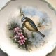 Sikorka 21,5cm.❀ڿڰۣ❀ ROYAL ALBERT 1982 ❀ڿڰۣ❀ The Woodland Birds Collection ❀ڿڰۣ❀ Wyjątkowo uroczy, w stylu retro