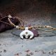 Choker Lunula Słowiańska księżyc porcelanowy bały złocony ~ Slavic Porcelain ~ mikro makrama
