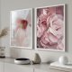 Zestaw plakatów - 50x70 cm Róża i Magnolia