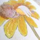 obrazek anioł stróż śpiący na kwiatku, pamiątka chrztu narodzin