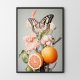 Plakat botaniczny kolaż - format 50x70 cm