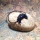 LUNULA Czarna z Ametystami i Apatytami księżyc kamienie naturalne delfina dolls mikromakrma