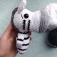 zebra Zosia