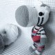 zebra Zygmuś, zeberka