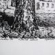 Drzewo, grafika czarno-biała, Agnieszka Paluch 1994 r.