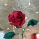 Czerwona róża; kwiat z filcu; 30cm