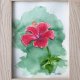 Obraz ręcznie malowany Hiszpania hibiskus +rama