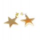 Alloys Collection /Star gold/ - kolczyki