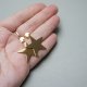 Alloys Collection /Star gold/ - kolczyki