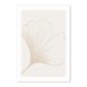 Plakat  - Minimalistyczna Natura Boho II 50x70 cm