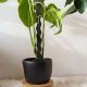 Tyczki / podpórki do roślin 60 i 30cm czarne