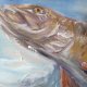 Obraz olejny ręcznie malowany autorski 80x80 Pejzaż morski
