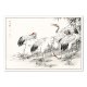 Plakat Japonia z żurawiami 70x50 cm