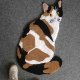 Dywan kot, wysokiej jakości dywan handmade, grube runo