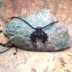 LUNULA czarna z Ametystami i Apatytami słowiański księżyc kamienie naturalne mikro makrama delfina dolls