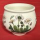 Portmeirion   Botanic  Garden -Susan William s Ellis -  rzadko spotykana forma - porcelanowa miska