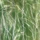 Silk scarf - Green grass  - apaszka jedwabna ręcznie ręcznie malowana  - 95 x 95 żorżetta mgiełka