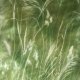 Silk - Green grass  - apaszka jedwabna ręcznie ręcznie malowana  - 95 x 95 żorżetta mgiełka