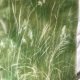 Silk scarf - Green grass  - apaszka jedwabna ręcznie ręcznie malowana  - 95 x 95 żorżetta mgiełka