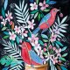 Red birds Plakat 50x70