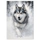 Plakat - Malamut w śniegu 50x70 cm
