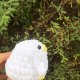 Kaczuszka-handmade (biała)