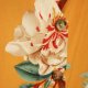 KOMBINEZON VINTAGE CAMO ROSE