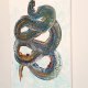 EARTH DRAGON ekspresyjny obraz abstrakcyjny, klimat fantazji 70x100 cm