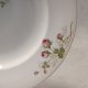 Rosenthal ELSE Talerz Obiadowy Duży Głęboki Kronach Bavaria 100-letni