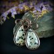 Kolczyki wire wrapping z jaspisem dalmatyńskim
