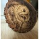 Sowa - pirografia (25x30 cm) obraz wypalany na drewnie, woodburning, pyrography art
