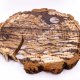 Morze - pirografia (17x18 cm) - obraz wypalany na drewnie, woodburning, pyrography art