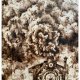 Lumiere - pirografia (30x25 cm) - obraz wypalany na drewnie, woodburning, pyrography art