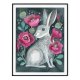 Poppy Hare Plakat 30x40