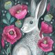 Poppy Hare Plakat 30x40